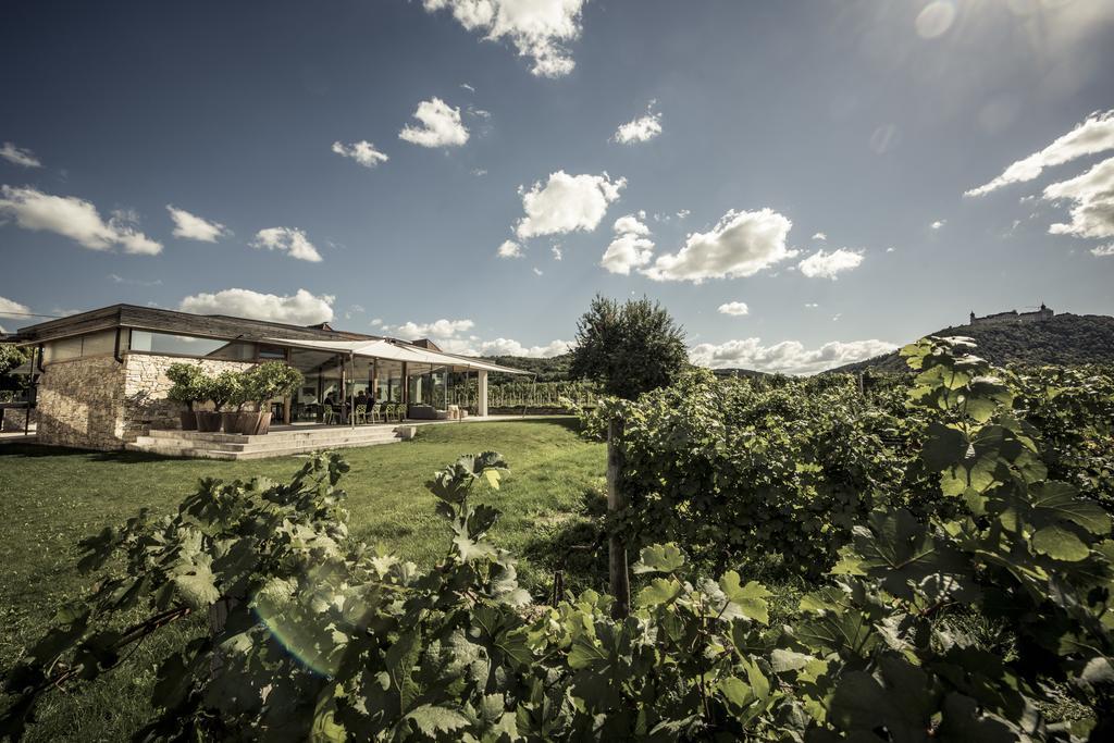 Malat Weingut Und Hotel Furth bei Gottweig Exterior photo