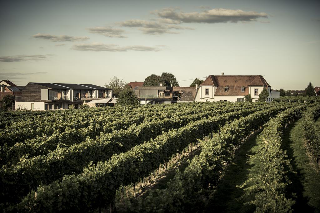Malat Weingut Und Hotel Furth bei Gottweig Exterior photo
